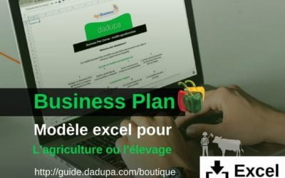 dadupa Business Plan modèle Excel pour projet agricole ou d'élevage