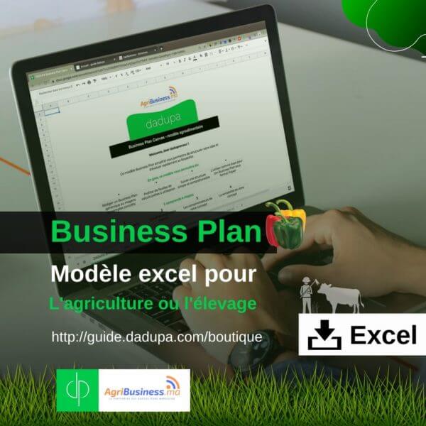 dadupa Business Plan modèle Excel pour projet agricole ou d'élevage