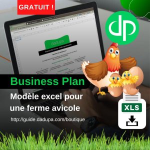 DADUPA Business Plan Canva pour une ferme avicole (excel)